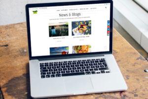 New website for Veggie Fest 2019