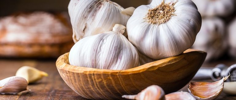 Garlic