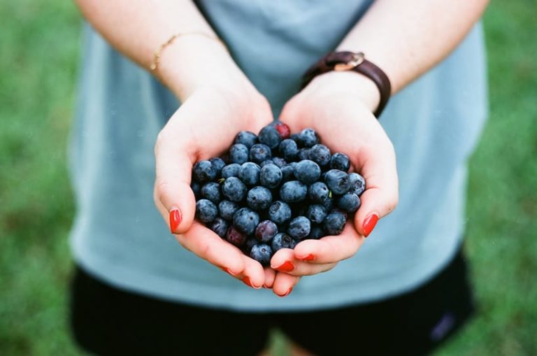 Person holding Berries in his hands