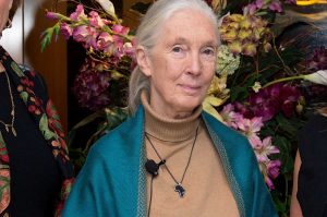 Dr Jane Goodall