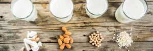 Blog-Vegan