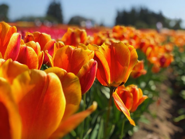 Welcome-Back-Spring-2021