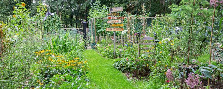 The-Bounty-of-Summer-Gardens-21