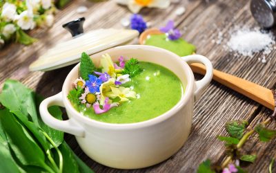 Avocado-soup-wb