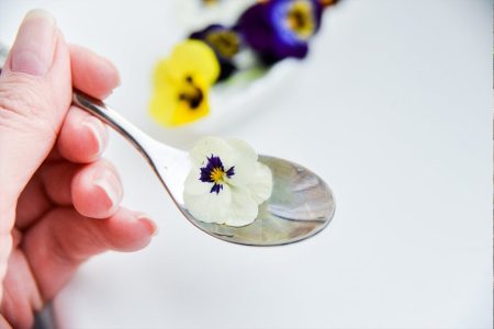 Devour-the-Flower