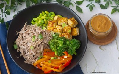 Soba-with-tempeh-bowl.jpg-1