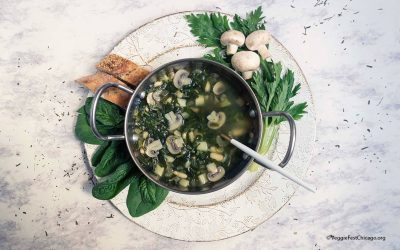 Spring_soup-wb