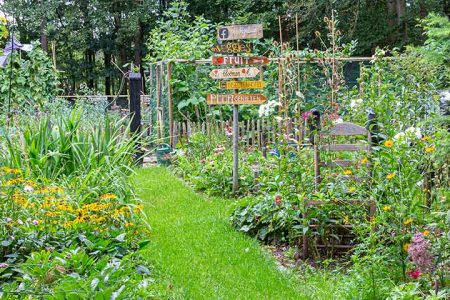The-Bounty-of-Summer-Gardens-21